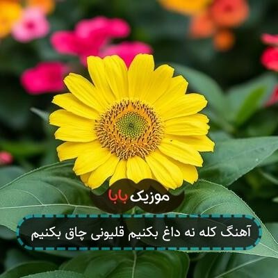 آهنگ کله نه داغ بکنیم قلیونی چاق بکنیم آهنگ کله نه داغ بکنیم قلیونی چاق بکنیم