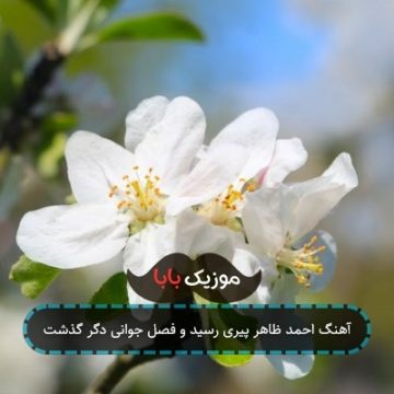 آهنگ احمد ظاهر پیری رسید و فصل جوانی دگر گذشت