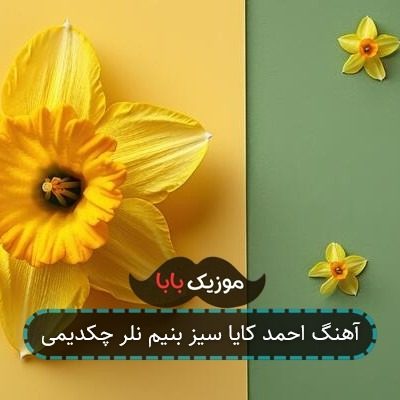آهنگ احمد کایا سیز بنیم نلر چکدیمی