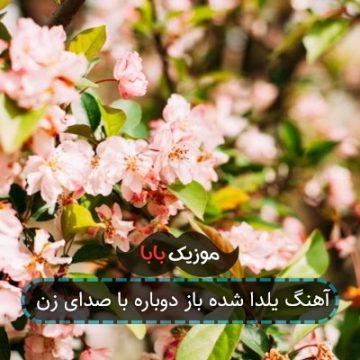 آهنگ یلدا شده باز دوباره با صدای زن آهنگ یلدا شده باز دوباره با صدای زن