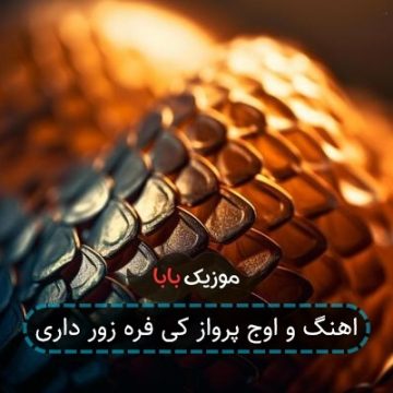 اهنگ و اوج پرواز کی فره زور داری