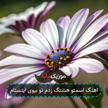 اهنگ اسمتو هشتگ زدم تو بیوی اینستام اهنگ اسمتو هشتگ زدم تو بیوی اینستام