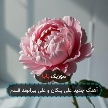 آهنگ جدید علی پلکان و علی بیرانوند قسم آهنگ جدید علی پلکان و علی بیرانوند قسم