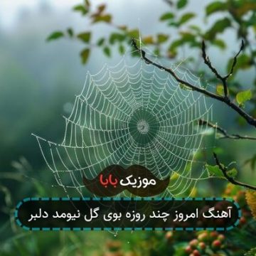 آهنگ امروز چند روزه بوی گل نیومد دلبر