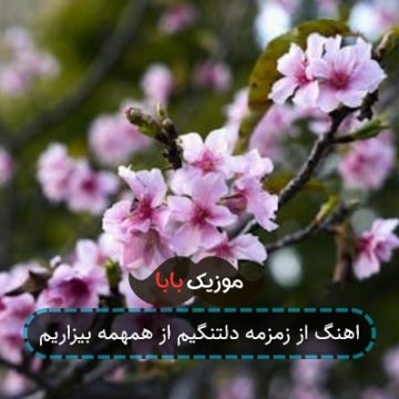 اهنگ از زمزمه دلتنگیم از همهمه بیزاریم