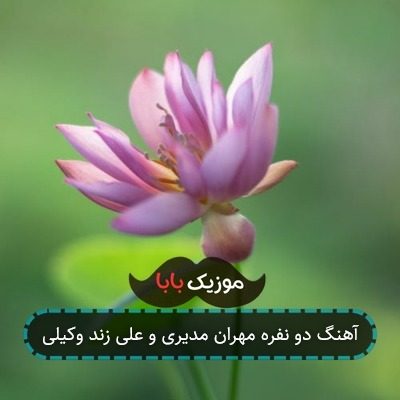 آهنگ دو نفره مهران مدیری و علی زند وکیلی