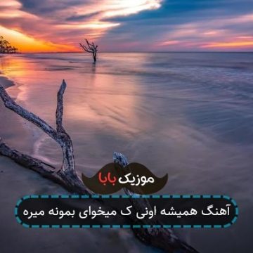 آهنگ همیشه اونی که میخوای بمونه میره با صدای زن