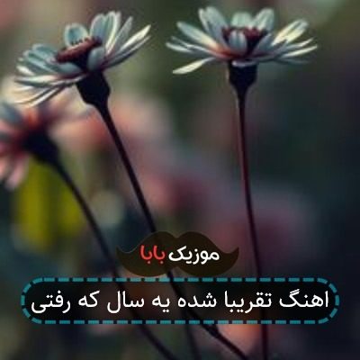 اهنگ تقریبا شده یه سال که رفتی اهنگ تقریبا شده یه سال که رفتی