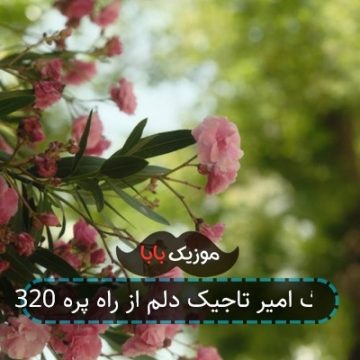 آهنگ امیر تاجیک دلم از راه پره 320 آهنگ امیر تاجیک دلم از راه پره 320
