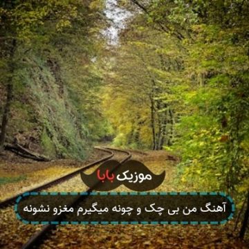 آهنگ من بی چک و چونه میگیرم مغزو نشونه آهنگ من بی چک و چونه میگیرم مغزو نشونه
