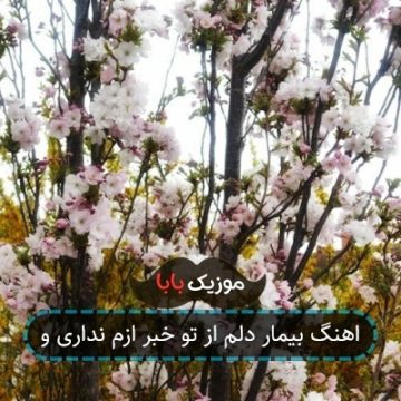 اهنگ بیمار دلم از تو خبر ازم نداری و