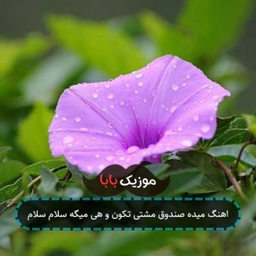 اهنگ میده صندوق مشتی تکون و هی میگه سلام سلام