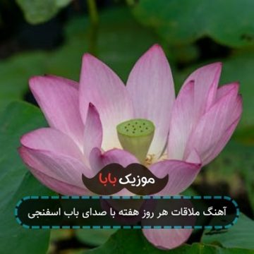 آهنگ زندگی پرایدی حق تو نیست با صدای باب اسفنجی