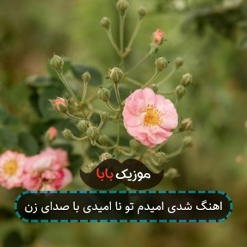 اهنگ شدی امیدم تو نا امیدی با صدای زن