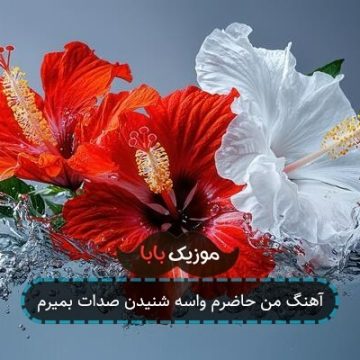 آهنگ من حاضرم واسه شنیدن صدات بمیرم