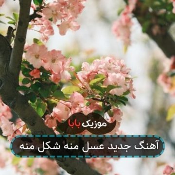 آهنگ جدید عسل منه شکل منه آهنگ جدید عسل منه شکل منه