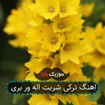 اهنگ ترکی شربت اله ور بری