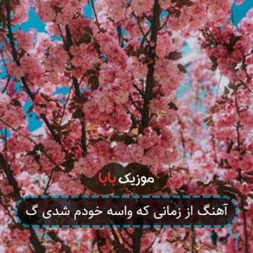 آهنگ از زمانی که واسه خودم شدی گ