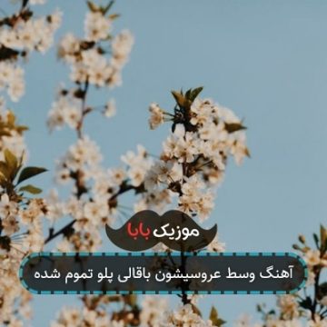 آهنگ وسط عروسیشون باقالی پلو تموم شده