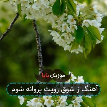 آهنگ ز شوق رویت پروانه شوم آهنگ ز شوق رویت پروانه شوم