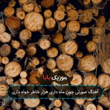 آهنگ مهره مار دارنی خاطرخواه هزار دارنی