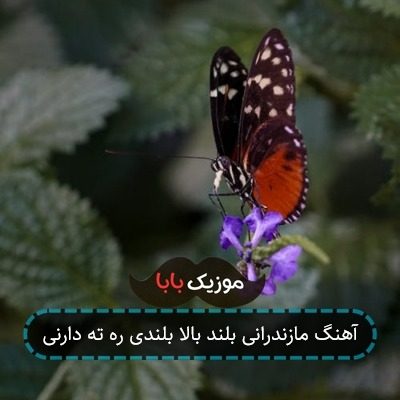 آهنگ مازندرانی بلند بالا بلندی ره ته دارنی آهنگ مازندرانی بلند بالا بلندی ره ته دارنی