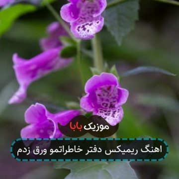 اهنگ ریمیکس دفتر خاطراتمو ورق زدم اهنگ ریمیکس دفتر خاطراتمو ورق زدم