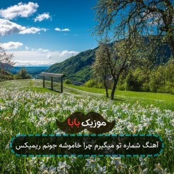آهنگ شماره تو میگیرم چرا خاموشه جونم ریمیکس