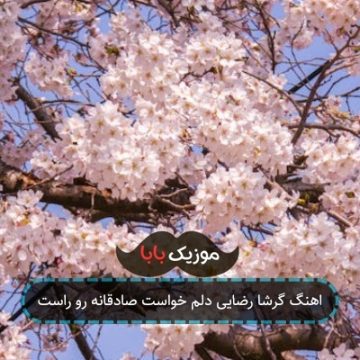 اهنگ گرشا رضایی دلم خواست صادقانه رو راست اهنگ گرشا رضایی دلم خواست صادقانه رو راست