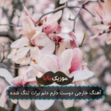 آهنگ خارجی دوست دارم دلم برات تنگ شده