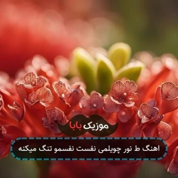 اهنگ ط نور چویلمی نفست نفسمو تنگ میکنه اهنگ ط نور چویلمی نفست نفسمو تنگ میکنه