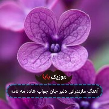 آهنگ مازندرانی دلبر جان جواب هاده مه نامه