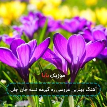 آهنگ بهترین عروسی ره گیرمه تسه جان جان آهنگ بهترین عروسی ره گیرمه تسه جان جان