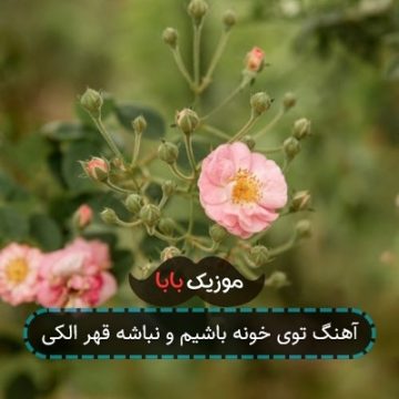 آهنگ توی خونه باشیم و نباشه قهر الکی آهنگ توی خونه باشیم و نباشه قهر الکی