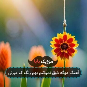 آهنگ دیگه ذوق نمیکنم بهم زنگ ک میزنی