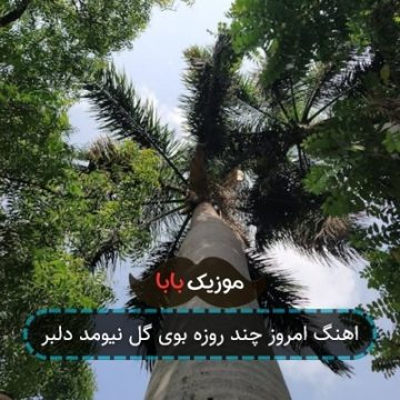 اهنگ امروز چند روزه بوی گل نیومد دلبر اهنگ امروز چند روزه بوی گل نیومد دلبر