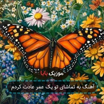 آهنگ به تماشای تو یک عمر عادت کردم