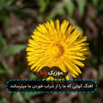 اهنگ آنهایی که ما را از شراب خوردن ما میترسانند