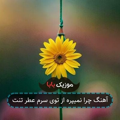 آهنگ چرا نمیپره از توی سرم عطر تنت آهنگ چرا نمیپره از توی سرم عطر تنت