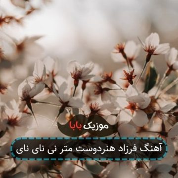 آهنگ فرزاد هنردوست متر نی نای نای