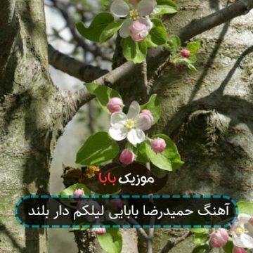 آهنگ حمیدرضا بابایی لیلکم دار بلند آهنگ حمیدرضا بابایی لیلکم دار بلند