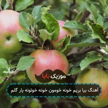 آهنگ بیا بریم خونه خومون خونه خوتونه یار گلم آهنگ بیا بریم خونه خومون خونه خوتونه یار گلم