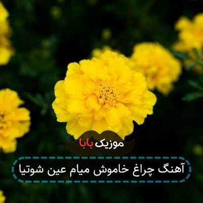 آهنگ چراغ خاموش میام عین شوتیا