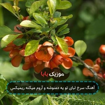 آهنگ سرخ لبای تو یه دمنوشه و آروم میکنه ریمیکس