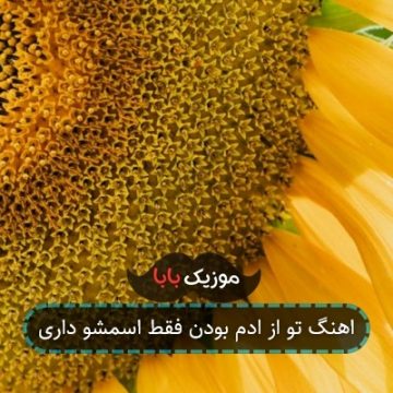 اهنگ تو از ادم بودن فقط اسمشو داری