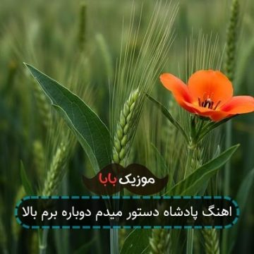 اهنگ پادشاه دستور میدم دوباره برم بالا اهنگ پادشاه دستور میدم دوباره برم بالا