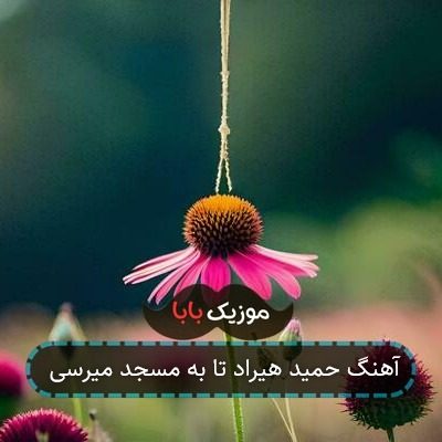 آهنگ صوتی کارت که لنگه میگی خدا قشنگه