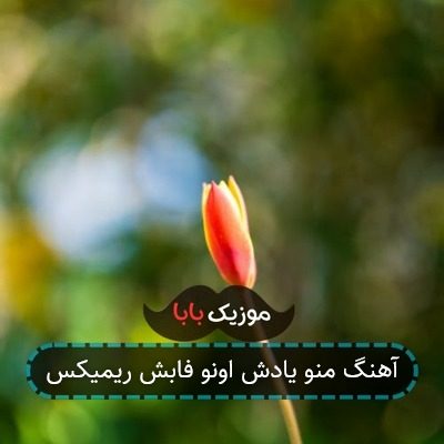 آهنگ مانده داغش شدم خارش او گل سرخ لعنتی