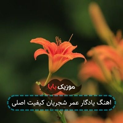 اهنگ یادگار عمر شجریان کیفیت اصلی اهنگ یادگار عمر شجریان کیفیت اصلی
