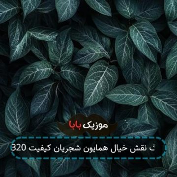 آهنگ نقش خیال همایون شجریان کیفیت 320